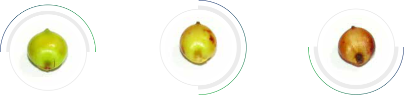 Blog Images